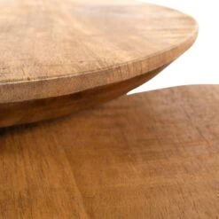 Noli Salontafel set van 2 organisch Mangohout