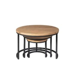Alaska Salontafel Set van 3 rond Mangohout