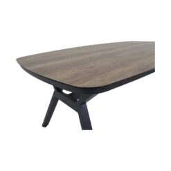 Odense Tuintafel Deens ovaal 200cm