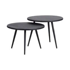 Suze Bijzettafel rond set van 2 Hout/Metaal Zwart