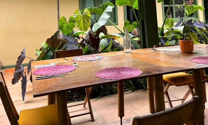 Tuintrends 2026: de mooiste tuin inspiratie voor dit jaar