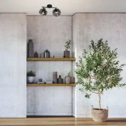 Gabriella 2-lichts Plafondlamp Smoke Glas