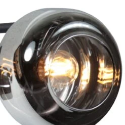 Gabriella 2-lichts Plafondlamp Smoke Glas