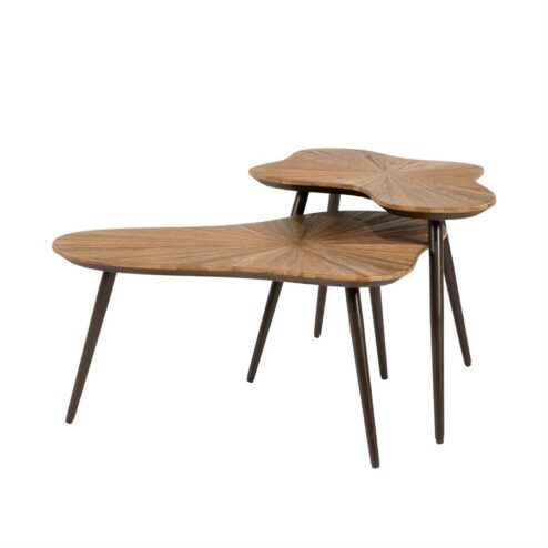 Loma Salontafel organisch Set van 2