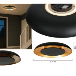 Sean 2-lichts Plafondlamp Zwart|Goud Metaal