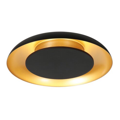 Sean 2-lichts Plafondlamp Zwart|Goud Metaal