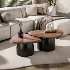 Vero Salontafel set van 2 organisch Acaciahout