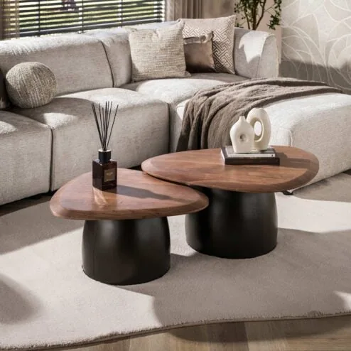 Vero Salontafel set van 2 organisch Acaciahout