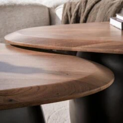 Vero Salontafel set van 2 organisch Acaciahout